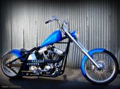 2010 West Coast Choppers Dominator photo